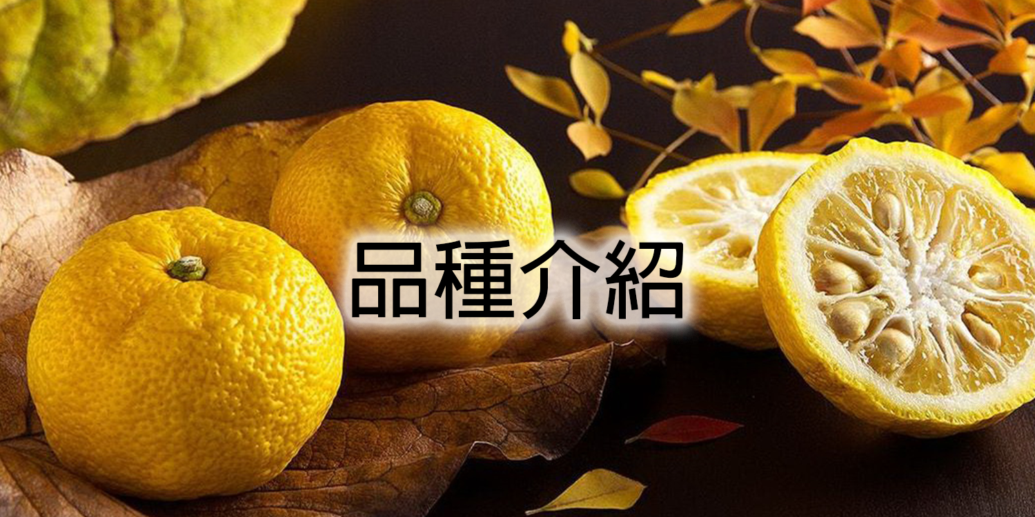 bacchus-Pomelo-variety